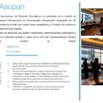 Asopan-web (2)